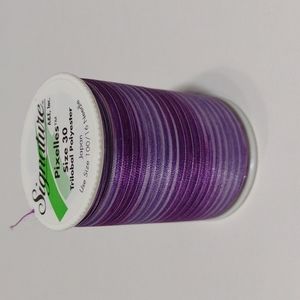 2/$20 Signature Pixelles Variegated Thread 500 YDS M34 Purple Ombre Rare